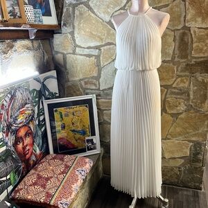 Aqua Dresses Pleated Maxi Dress – Size 2